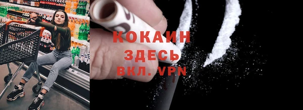 индика Белокуриха