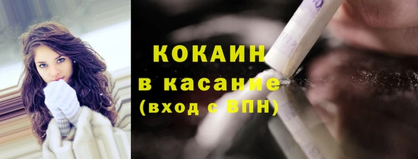 индика Белокуриха