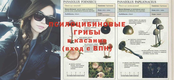 кокаин Богородицк