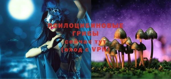a pvp Беломорск