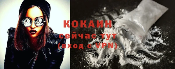 индика Белокуриха