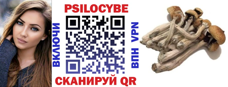 Псилоцибиновые грибы мицелий  купить закладку  Костерёво 